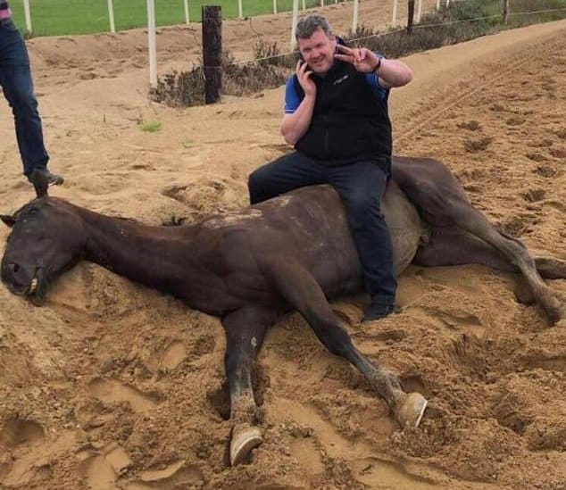 Gordon Elliot Dead Horse