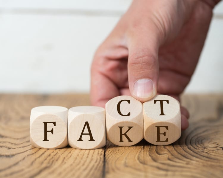 wooden dice cubes showing fact vs fake