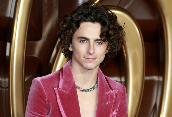 Timothée Chalamet to Pull Double Duty as Host and Musical Guest on Saturday Night Live