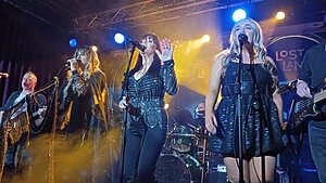 StandBack - the Stevie Nicks Experience