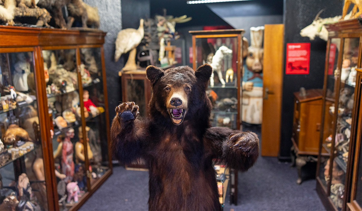 Museum 10